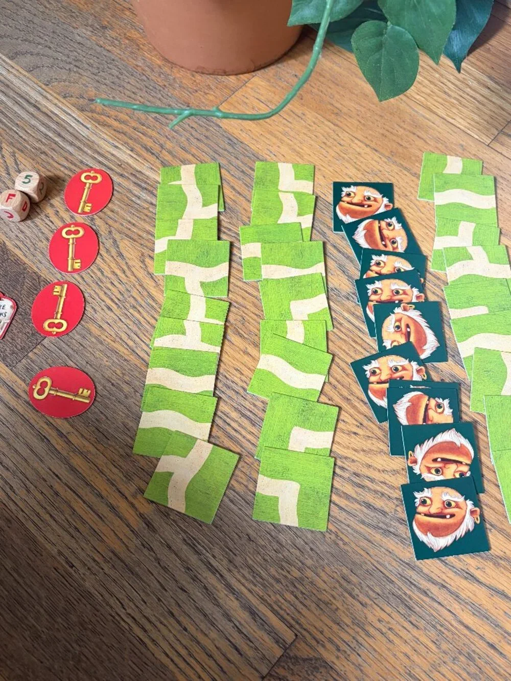 Race to the Treasure Cooperative Board Game Award Winning Ages 5+